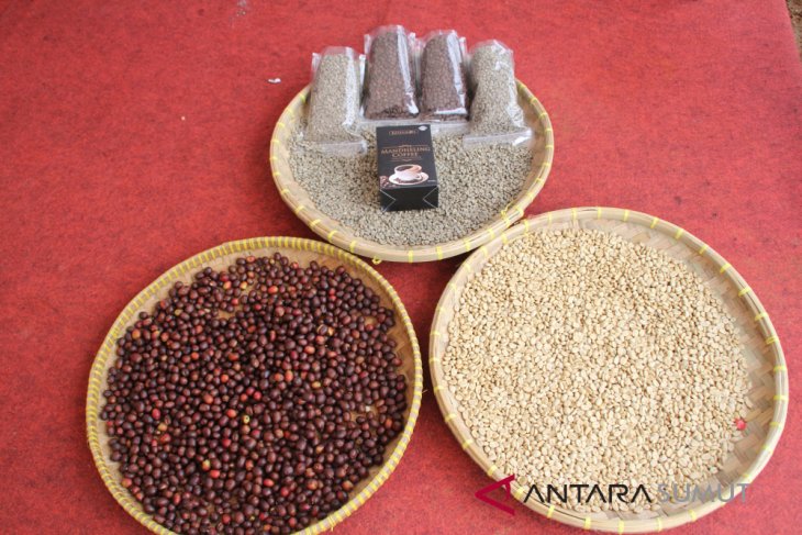 Promosi Kopi Mandailing