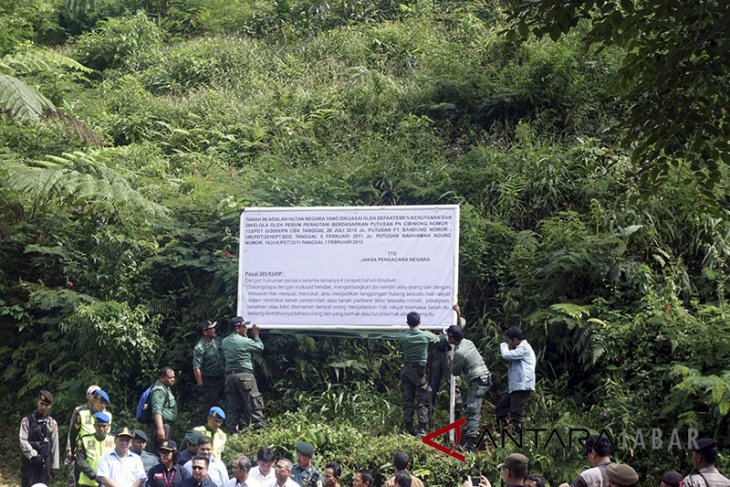 KLHK Segel Kawasan Hutan Lindung