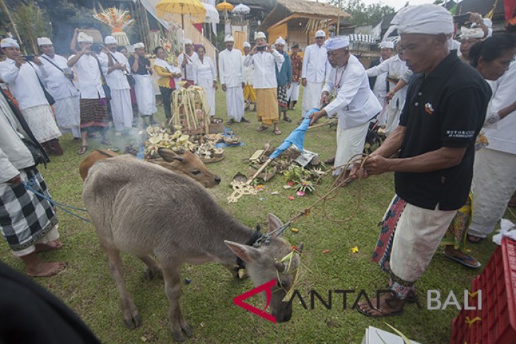 Upacara Mepepada menjelang Tawur Kesanga