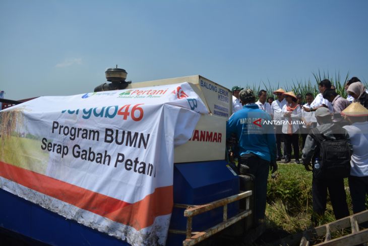 Program BUMN Serap Gabah Petani