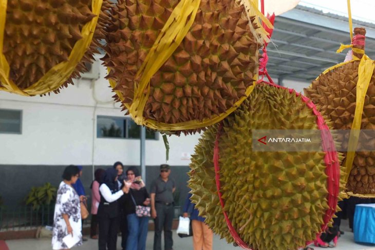 Festival Durian KAI