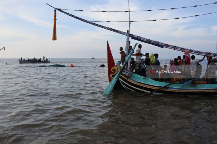 Warga Menonton Ikan Paus