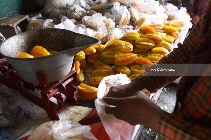 Wisata Petik Belimbing Madu