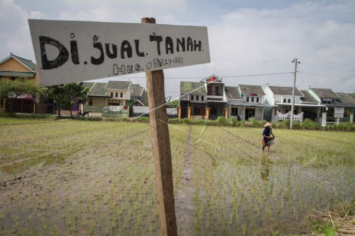 Alih fungsi lahan pertanian