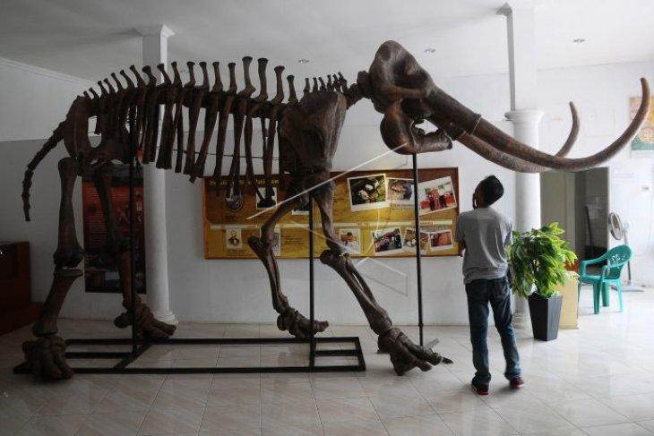 Museum Situs Purba Pati Ayam