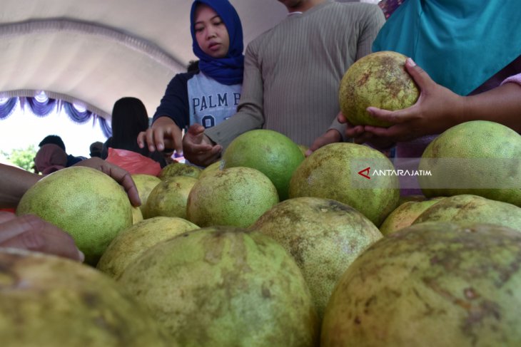 Festival Kampoeng Pamelo Magetan