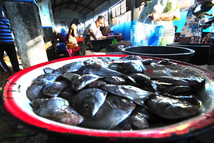 Harga Ikan Turun