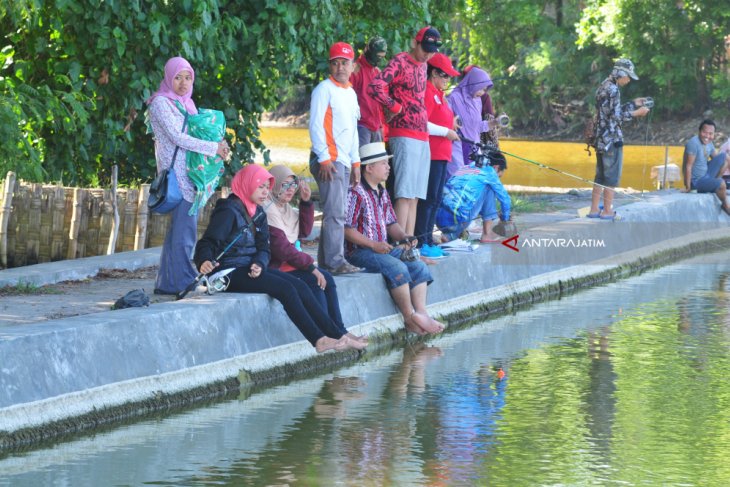 Wisata Tambak Ikan