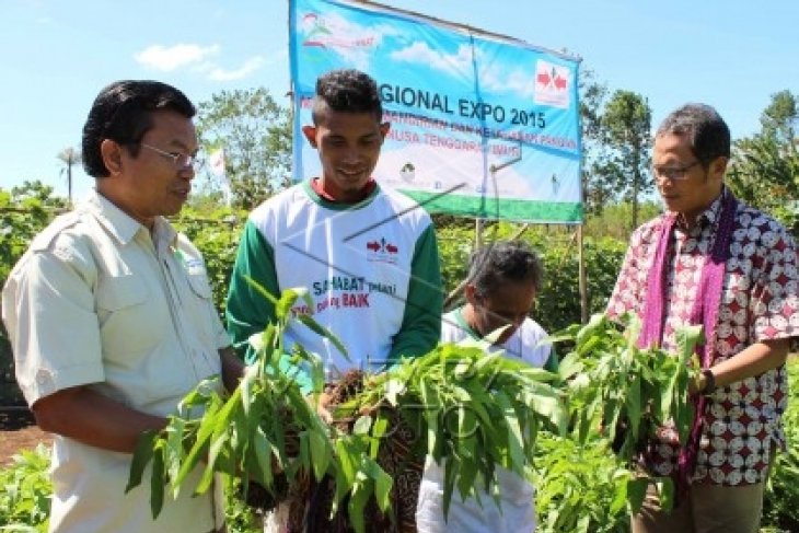 DPRD Banten Bahas Penyertaan Modal BUMD agrobisnis