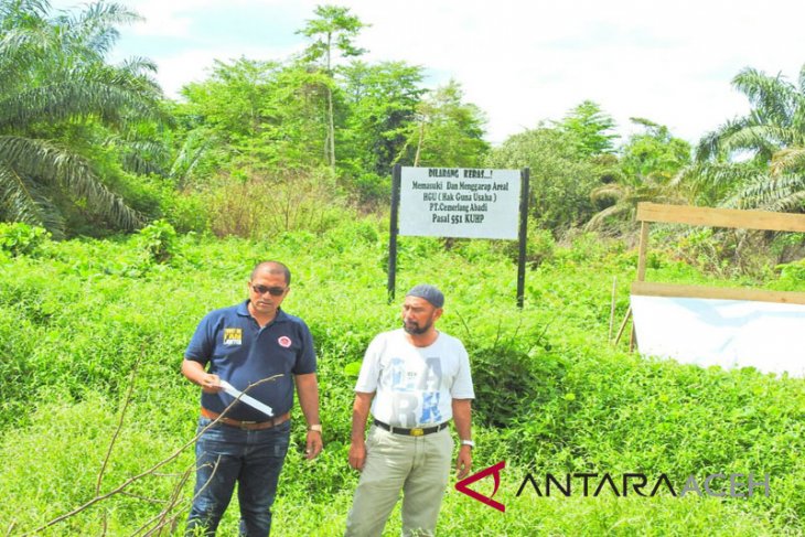 Bupati Abdya diminta bagikan lahan bekas HGU