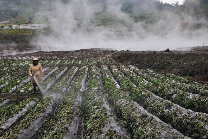 Kawah Sileri pasca letusan