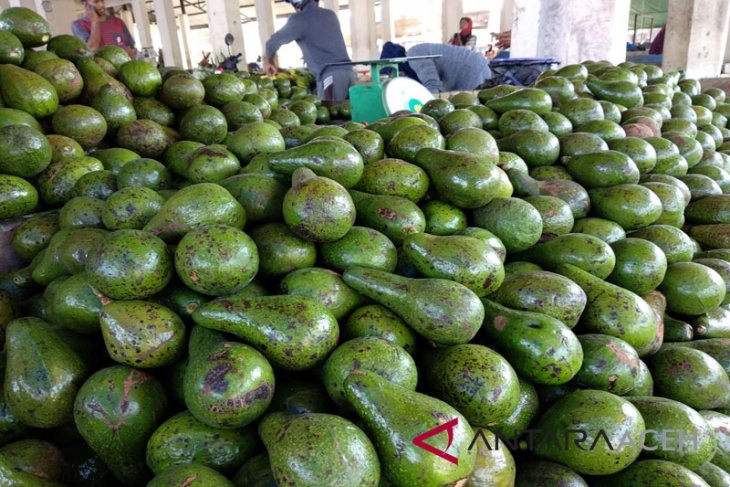 Harga alpukat di Aceh Tengah melambung - ANTARA News Aceh