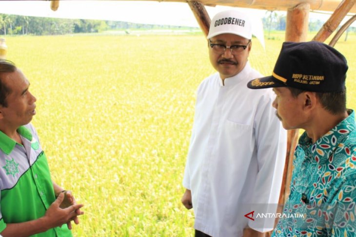 Gus Ipul Dorong Pertanian Organik Bondowoso Jadi Desa Wisata