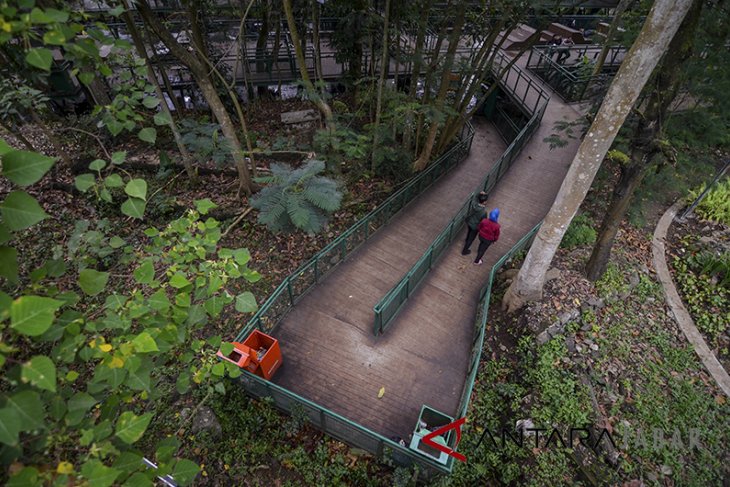 Ngabuburit di Forest Walk Bandung