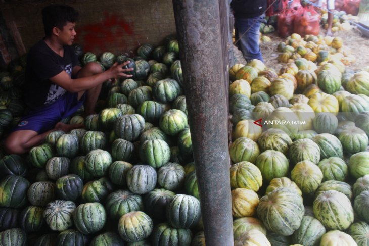 Pedagang Blewah Manfaatkan Bulan Puasa