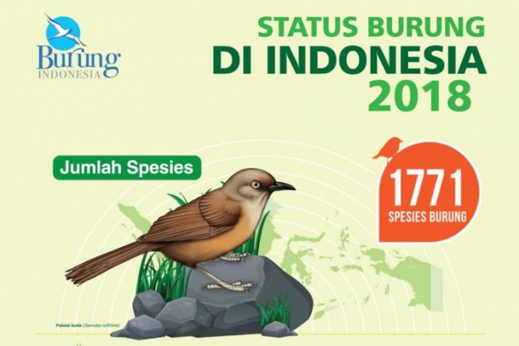 Jenis Burung Khas Indonesia  Bertambah Lagi ANTARA News 