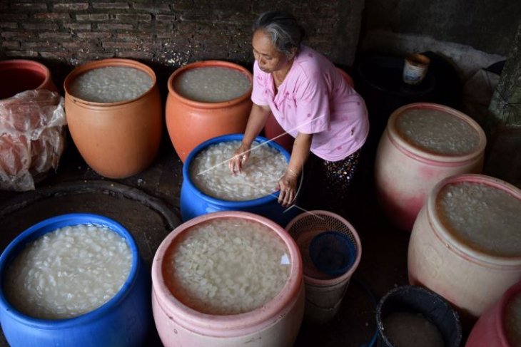 Produksi kolang-kaling