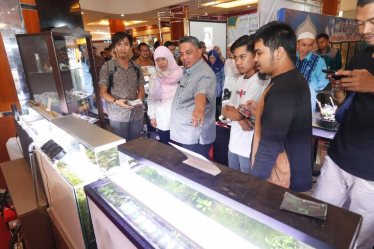 Pameran Koi 2018