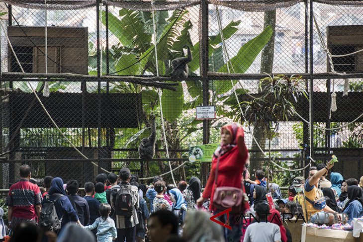 Warga padati kebun binatang Bandung 