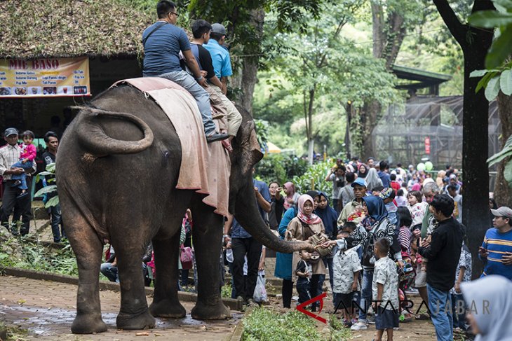 Warga padati kebun binatang Bandung 