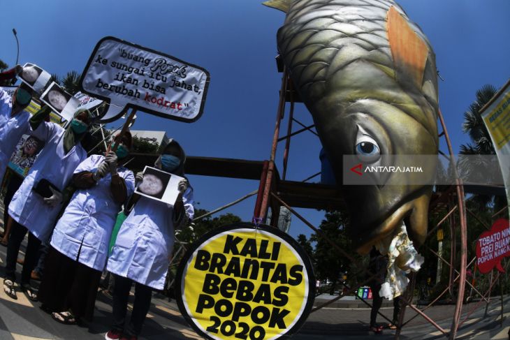 Aksi Bedah Ikan Tercemar Popok