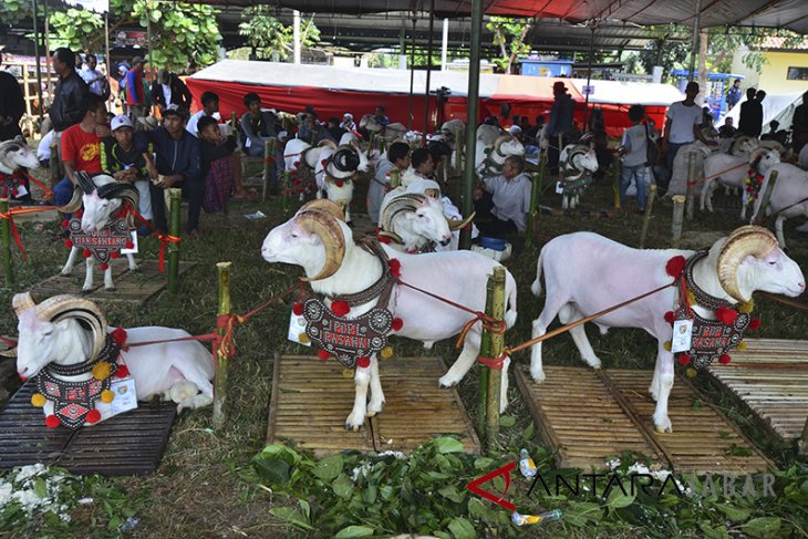 Kontes hewan ternak Jawa Barat