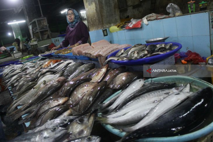 Pasokan Ikan Laut Berkurang