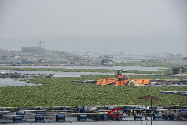 Pembersihan eceng gondok Waduk Cirata