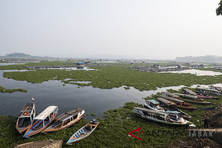 Pembersihan eceng gondok Waduk Cirata