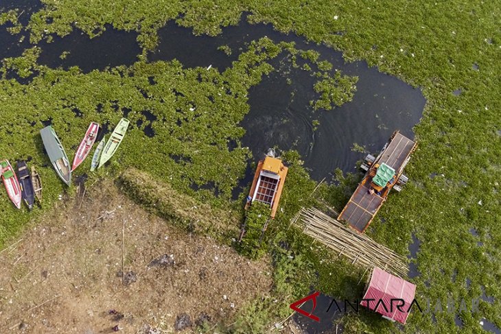 Pembersihan eceng gondok Waduk Cirata