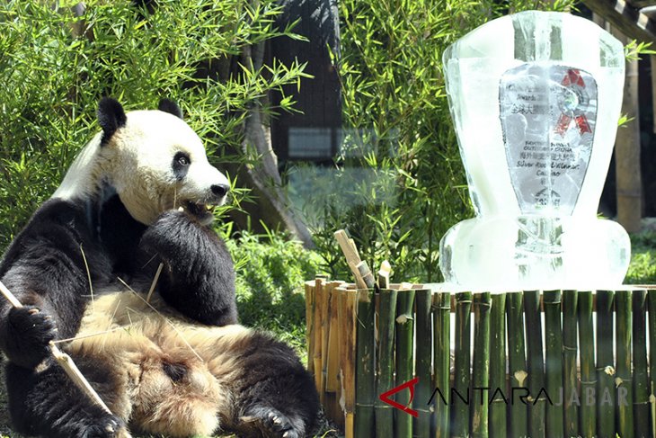 Giant Panda Global Award