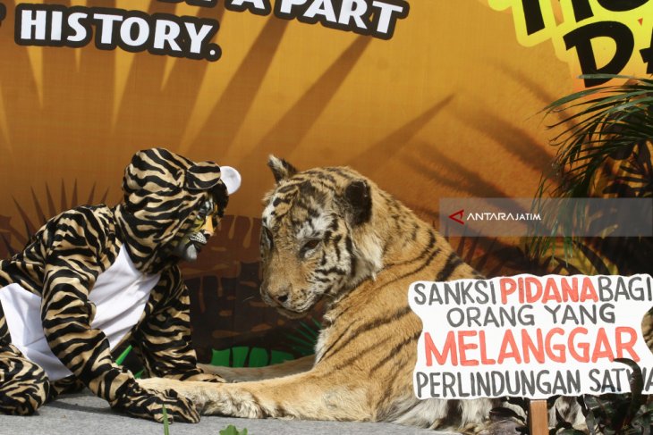 Peringatan Hari Harimau di Malang