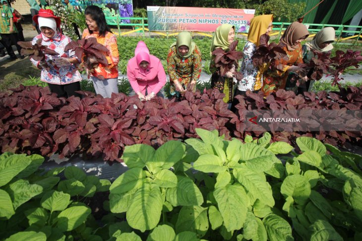 Petro Agrifood Expo 2018