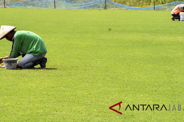 Perbaikan rumput stadion Pajajaran Bogor