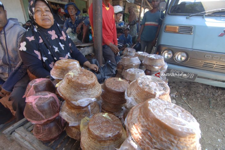 Suplemen Pakan Sapi