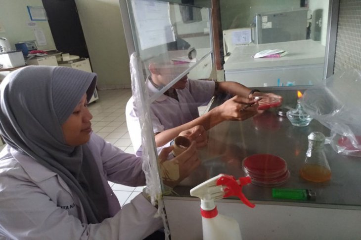 Mahasiswa Ipb Manfaatkan Sabut Kelapa Untuk Deteksi Hematuria Antara