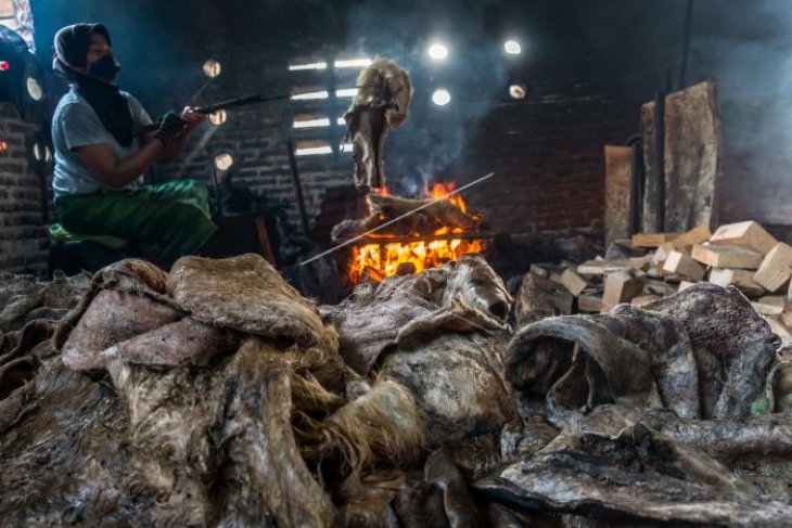 Kelangkaan bahan baku kulit sapi