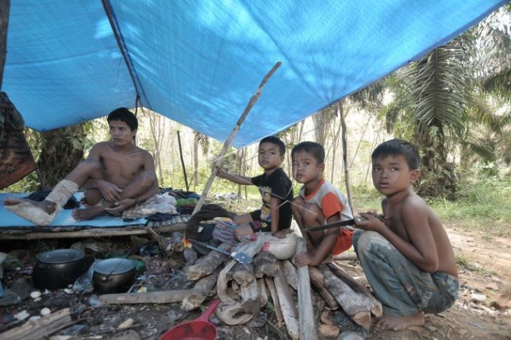 Warga suku anak dalam korban bentrok