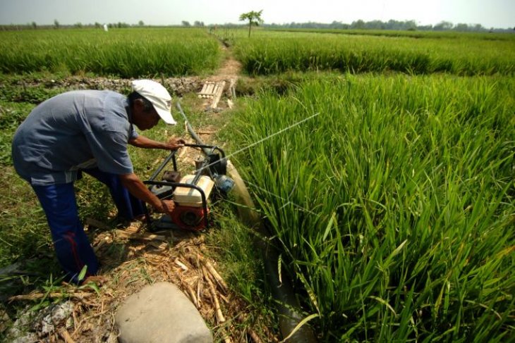 Mesin pompa air untuk pengairan sawah