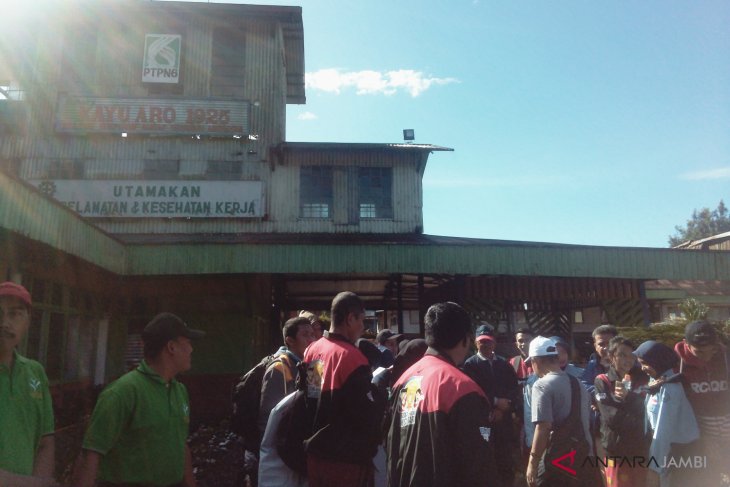 BUMN Hadir- PTPN Holding fasilitasi peserta SMN Malut ke Unit Usaha Kayu Aro