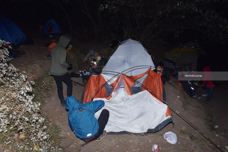 Dampak Kebakaran Gunung Lawu