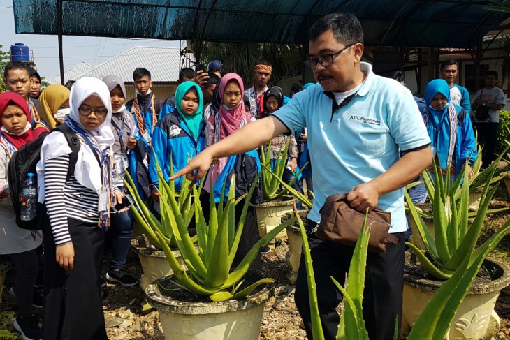 Kunjungan SMN di Aloe Vera Center