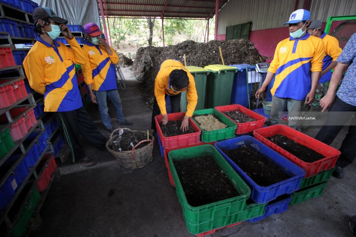 Pengolahan Sampah Dengan Larva