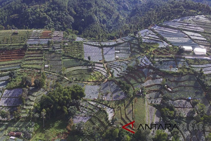 Tantangan pertanian Indonesia