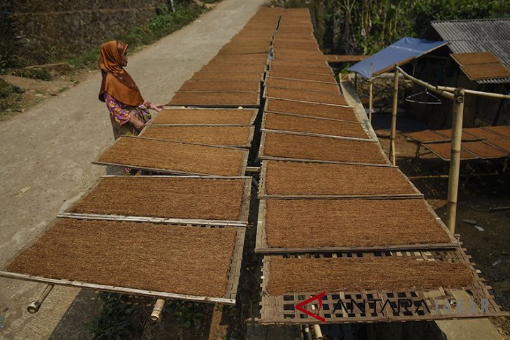 Produksi tembakau Jawa Barat