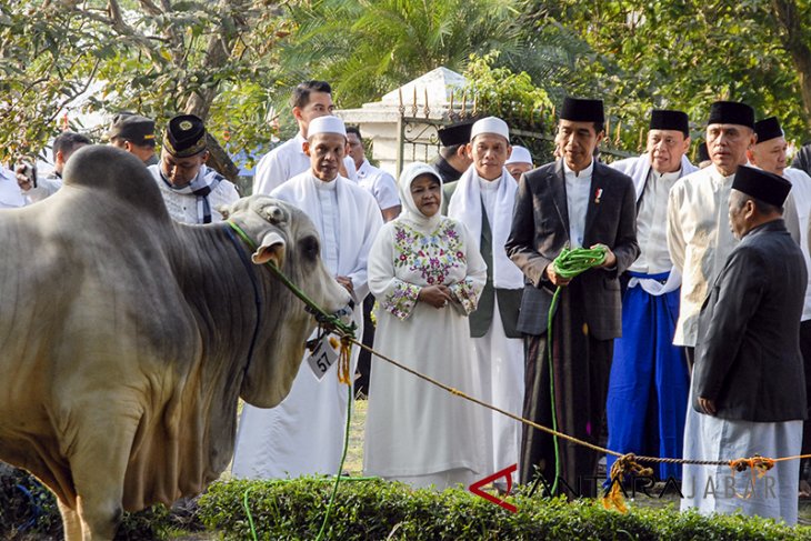 Presiden Joko Widodo salat Idul Adha