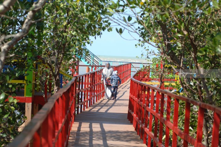 Wisata Hutan Mangrove