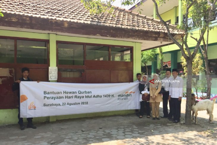 Bantuan Hewan Kurban BSM