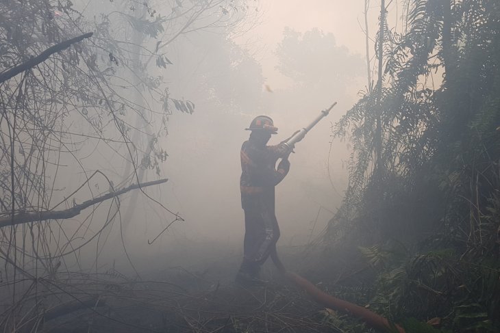 Karhutla bahayakan pemukiman warga