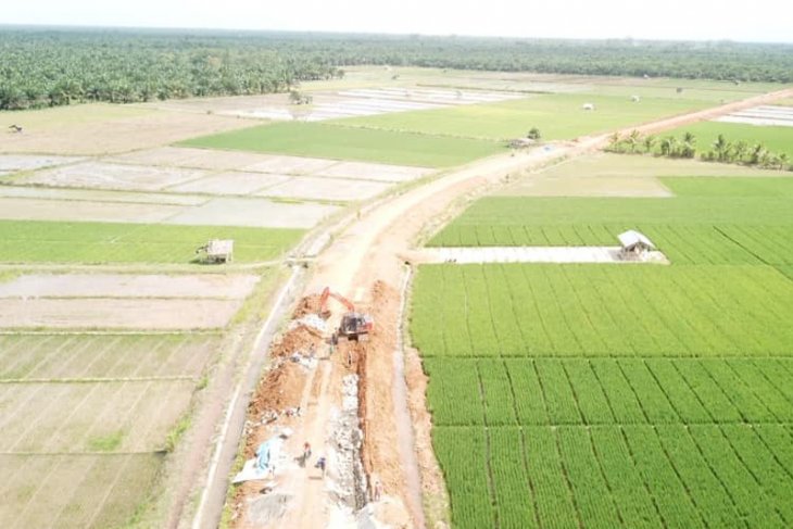 Hampir seluruh kabupaten/kota di Bengkulu rawan pangan
